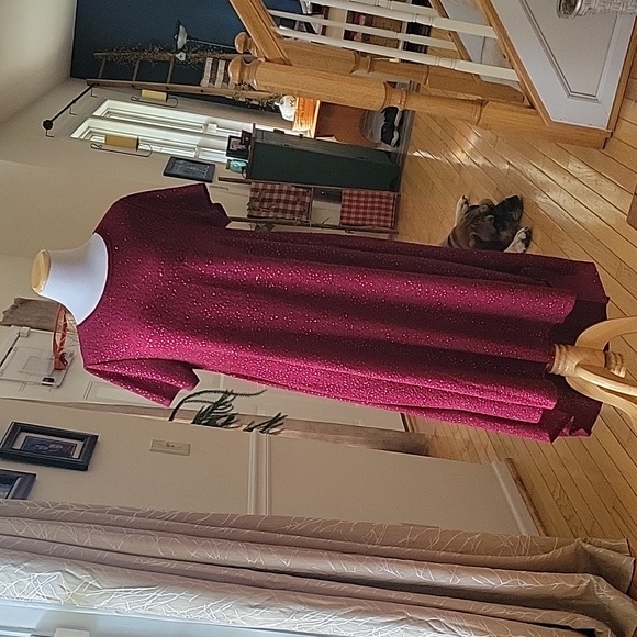 LULAROE 😊 HOLIDAY DRESS - Picture 2 of 9